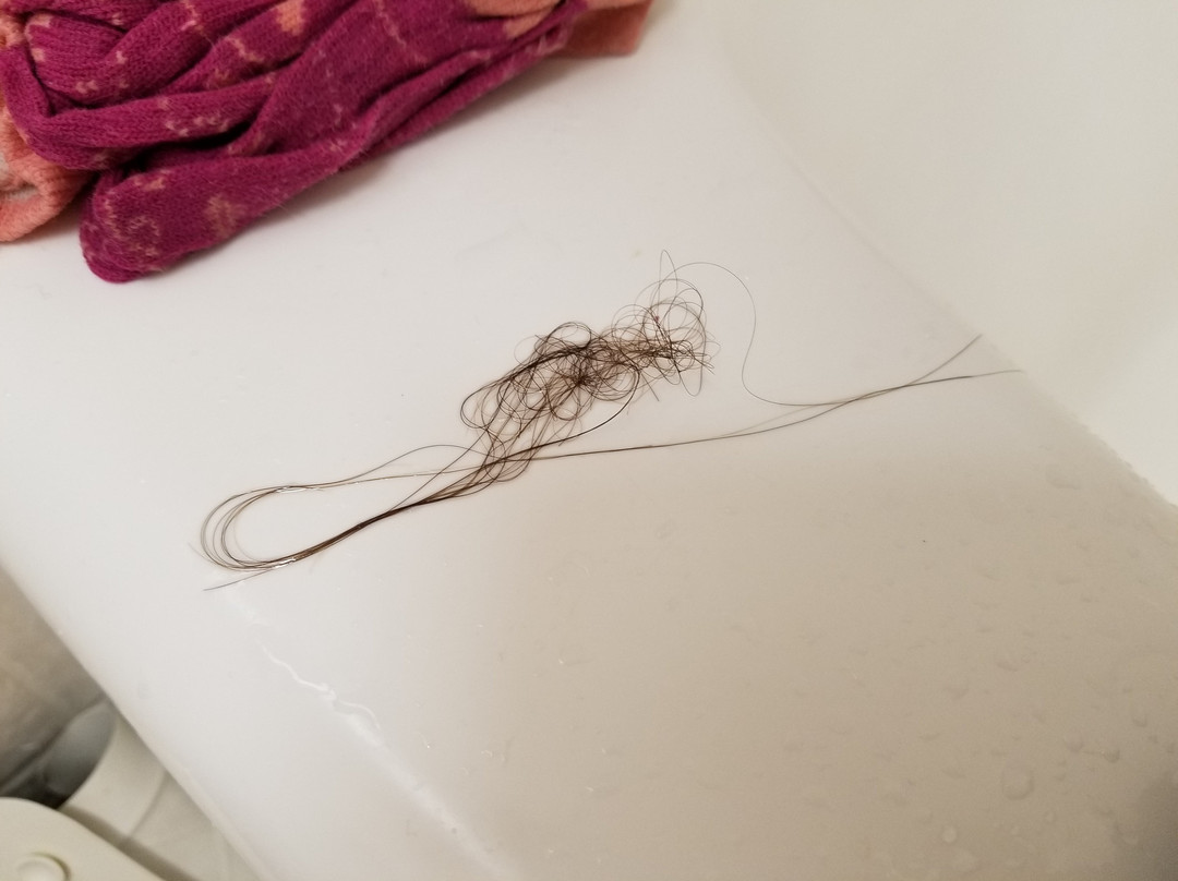 卡索假日酒店和套房主图