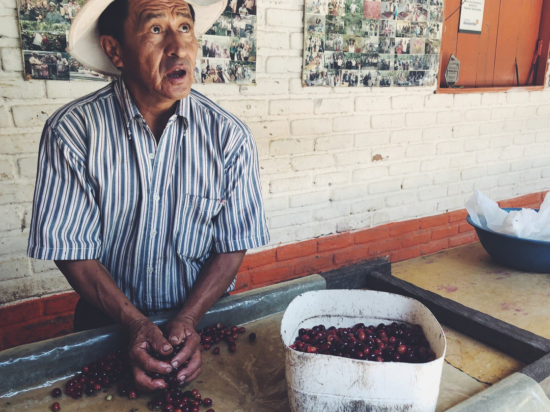 Experiencia Cafetera-Pijao必去景点