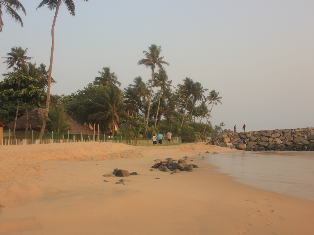 Azure Tides Marari主图