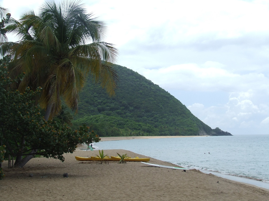 Hotel Le Petit Havre主图