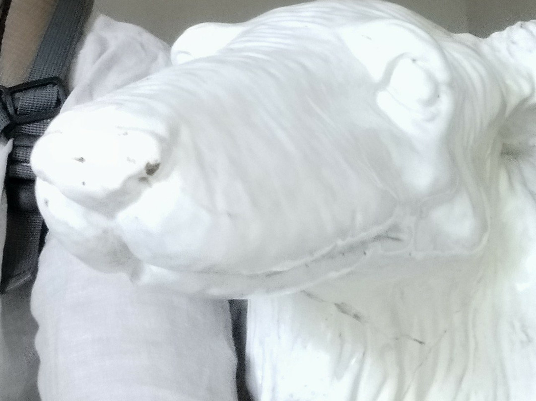 Pine Hills Hotel主图