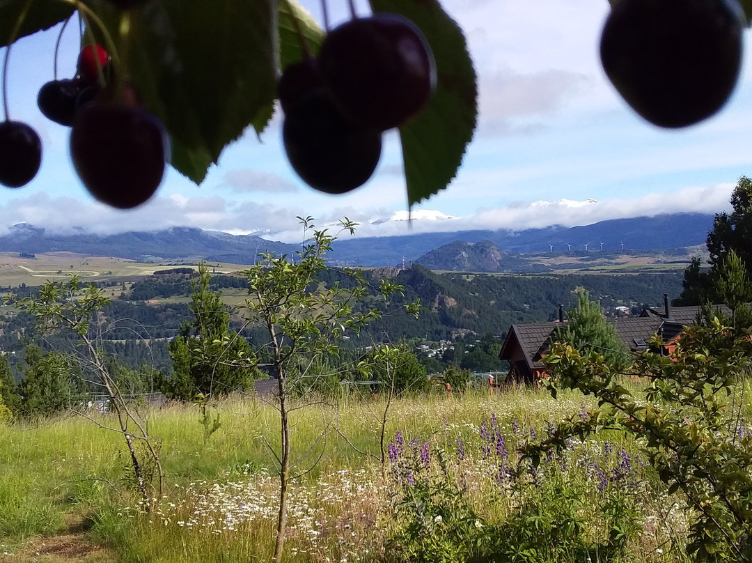 Patagonia House主图