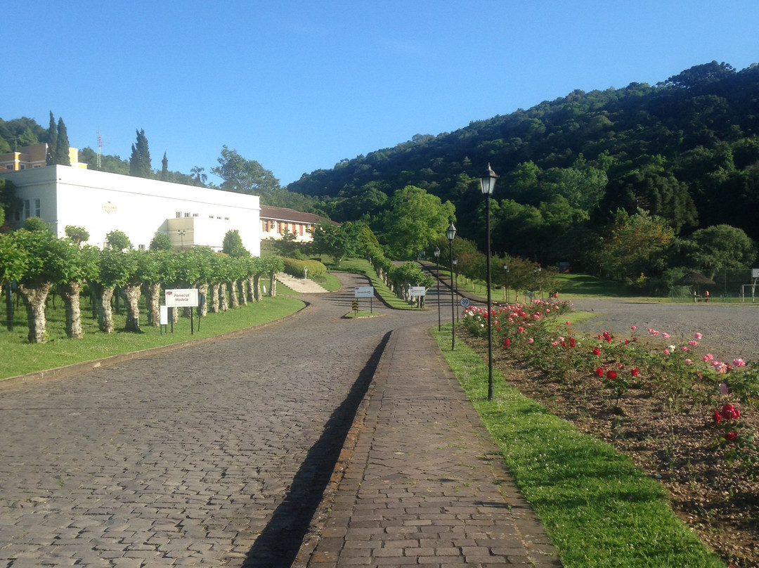 Villa Michelon主图