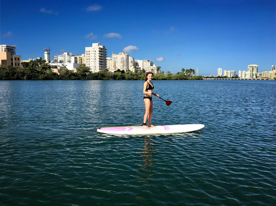 Puerto Rico Paddle Board Tours景点图片