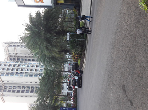 海口观澜湖新城-海口市必去景点