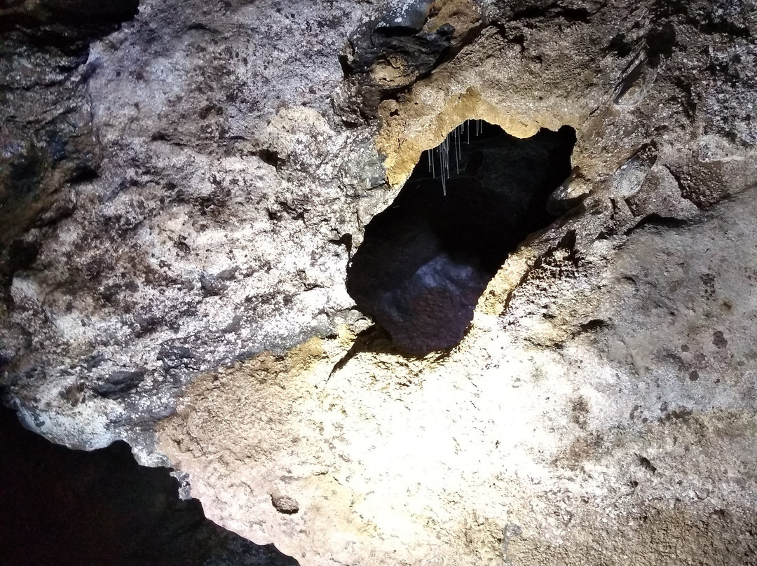 Mole Creek Caves-茉莉溪必去景点