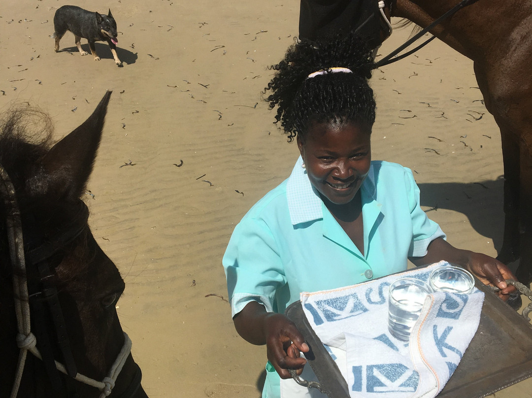 Mozambique Horse Safari景点图片