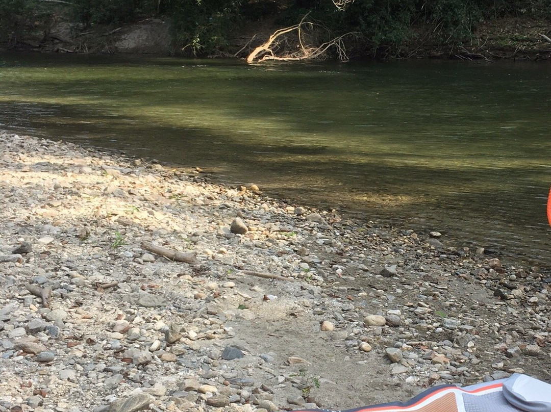 Bad Monkey-帕洛米诺必去景点