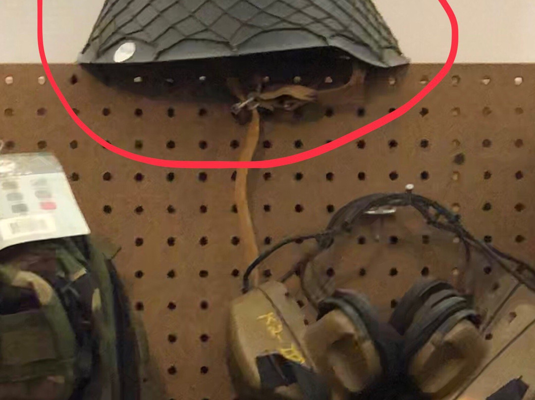 Raynham Flea Market景点图片