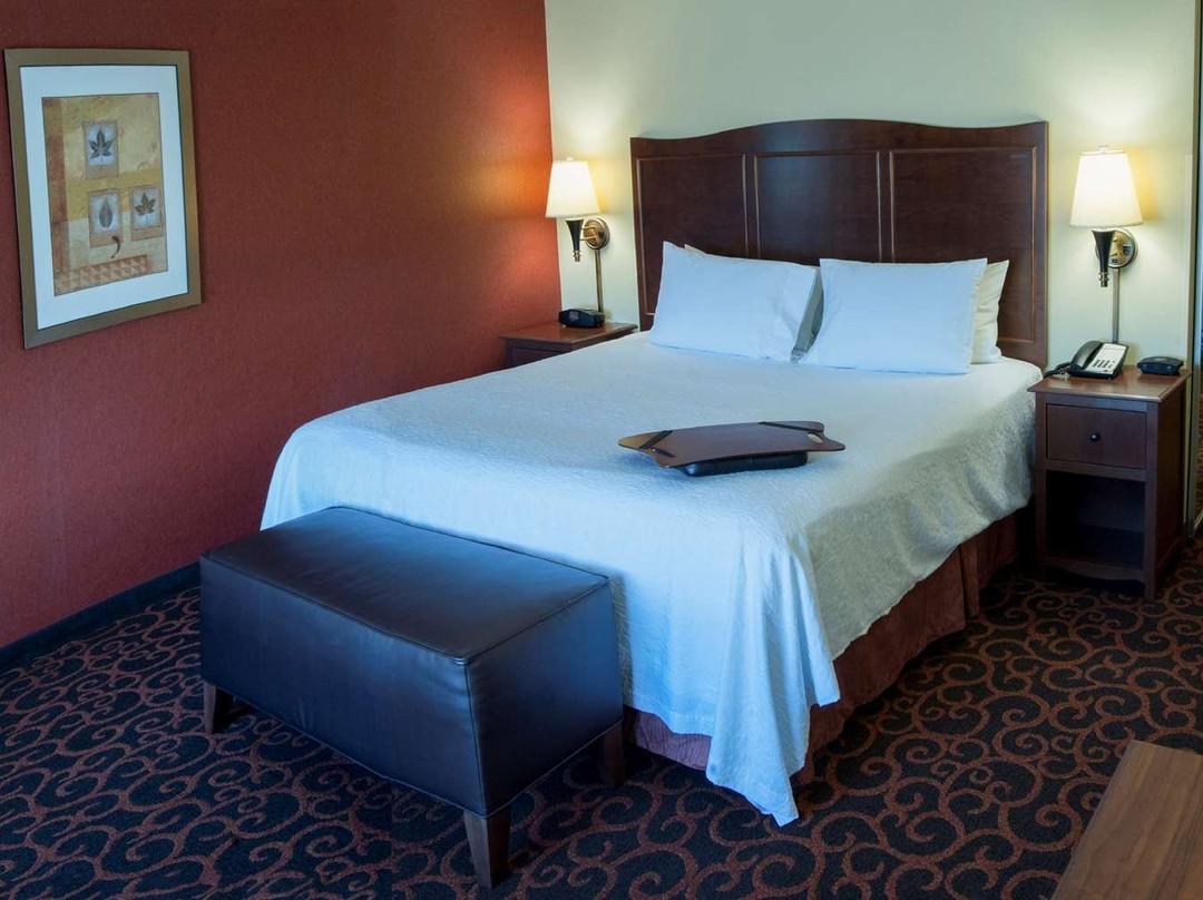 阿伯丁希尔顿恒庭旅馆&套房酒店主图