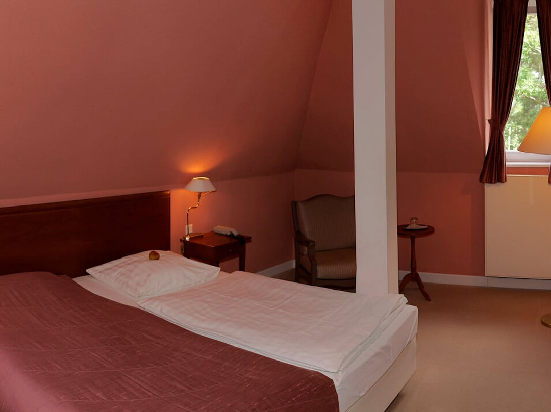 Villa Viktoria Luise - Boutique Hotel主图