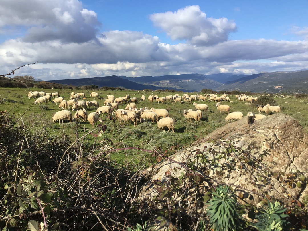 Nurri旅游攻略图片