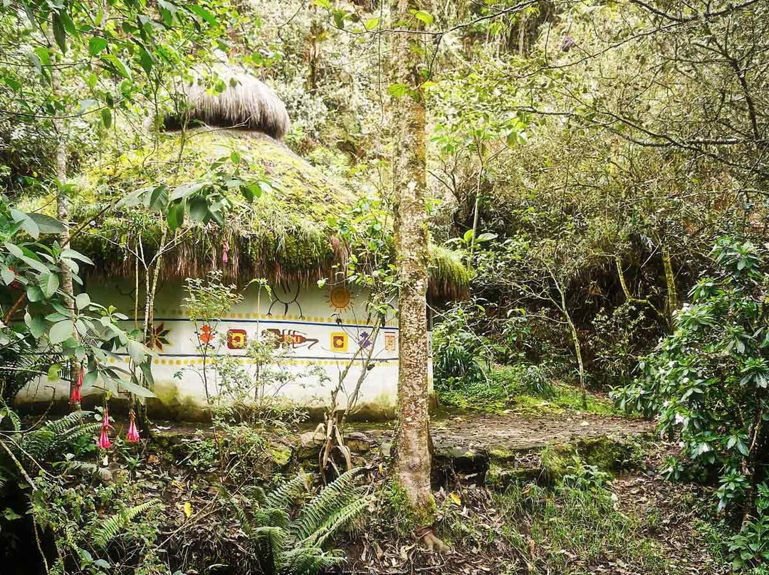 Be Local Experience-波哥大必去景点