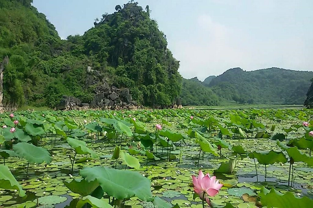 Asia Hero Travel-河内必去景点
