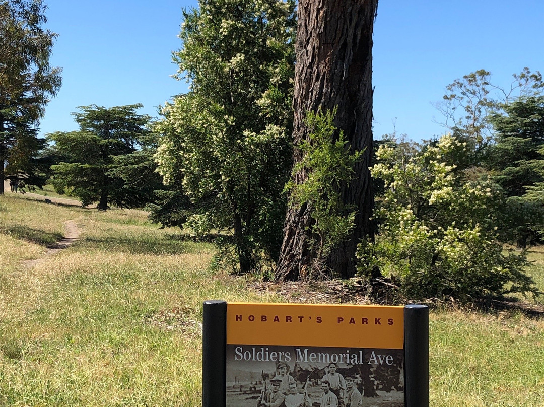 Soldiers Memoral Reserve-霍巴特必去景点