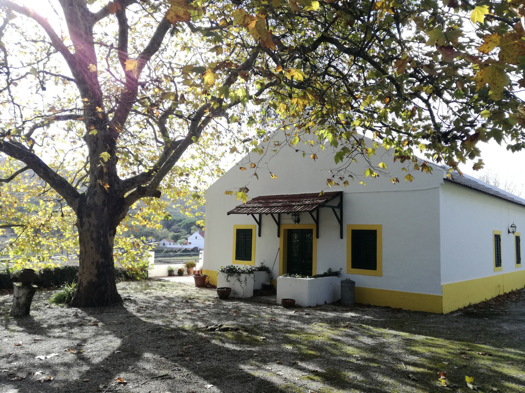 Montejunto Villas - Casa do Plátano
