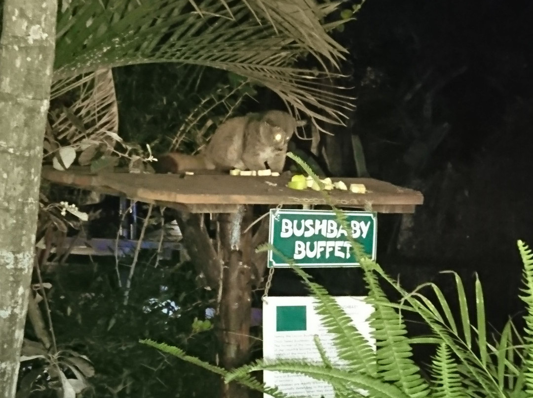 布什兰兹游戏洛奇饭店主图