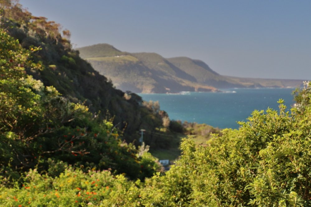 Moronga Park-卧龙岗市必去景点