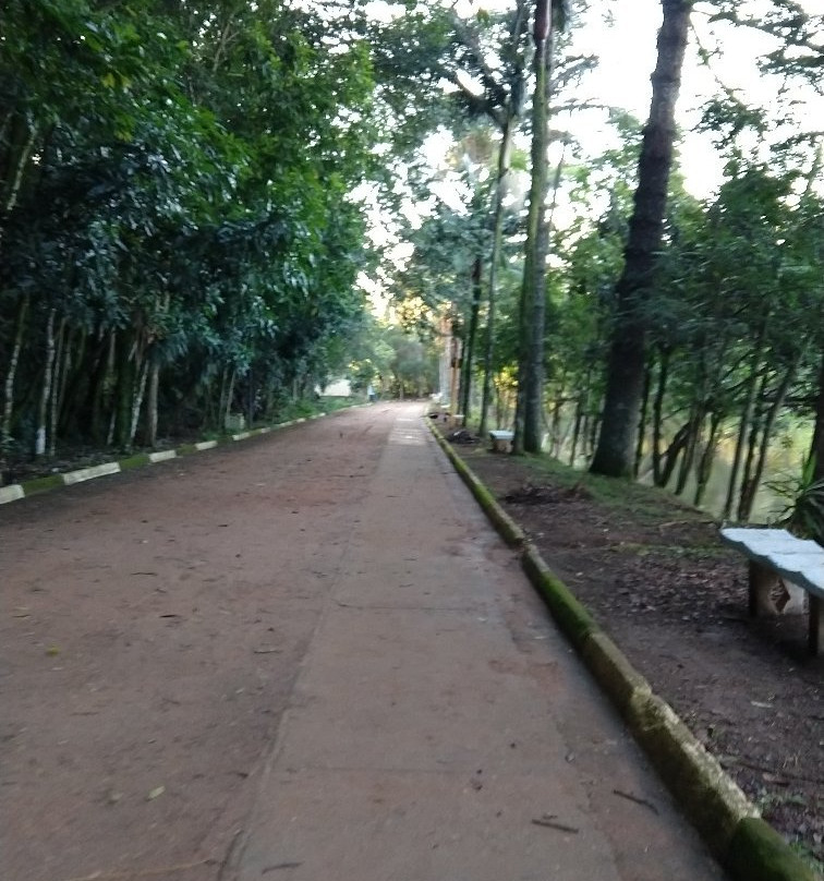 Lago Municipal de Espírito Santo do Pinhal-Espirito Santo Do Pinhal必去景点