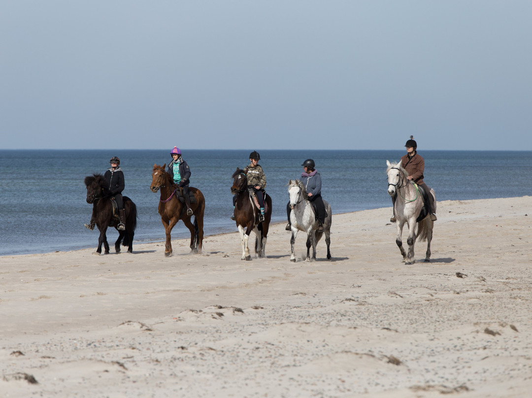 Reiten am Meer景点图片
