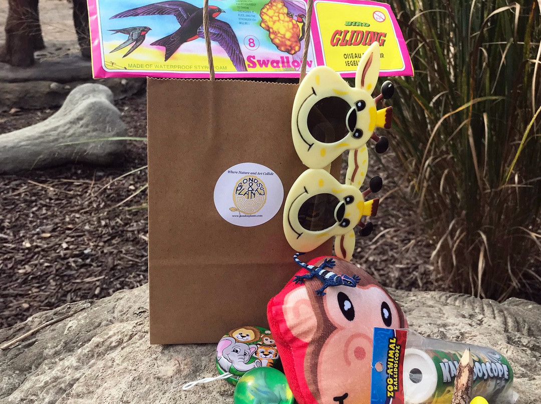 Ponds and Plants-Dayton必去景点