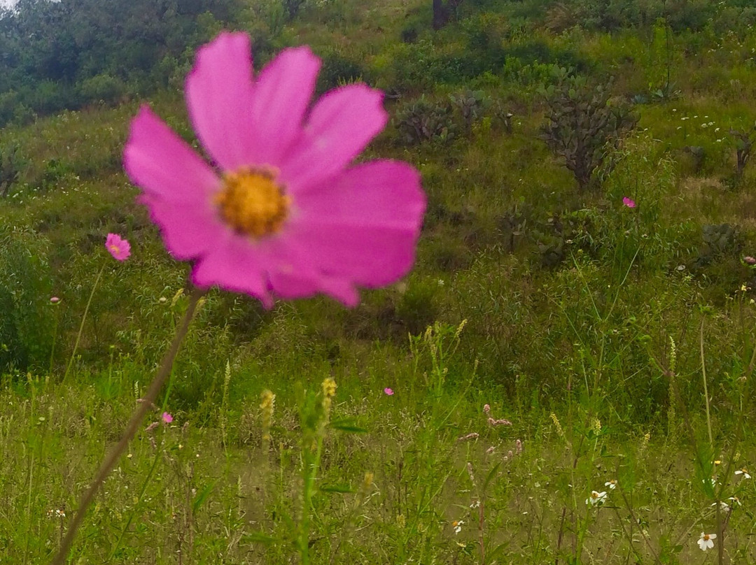 Kayak Center-Atizapan de Zaragoza必去景点