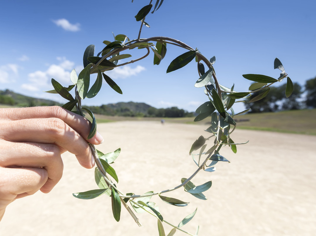 Epos Travel & Tours-雅典必去景点