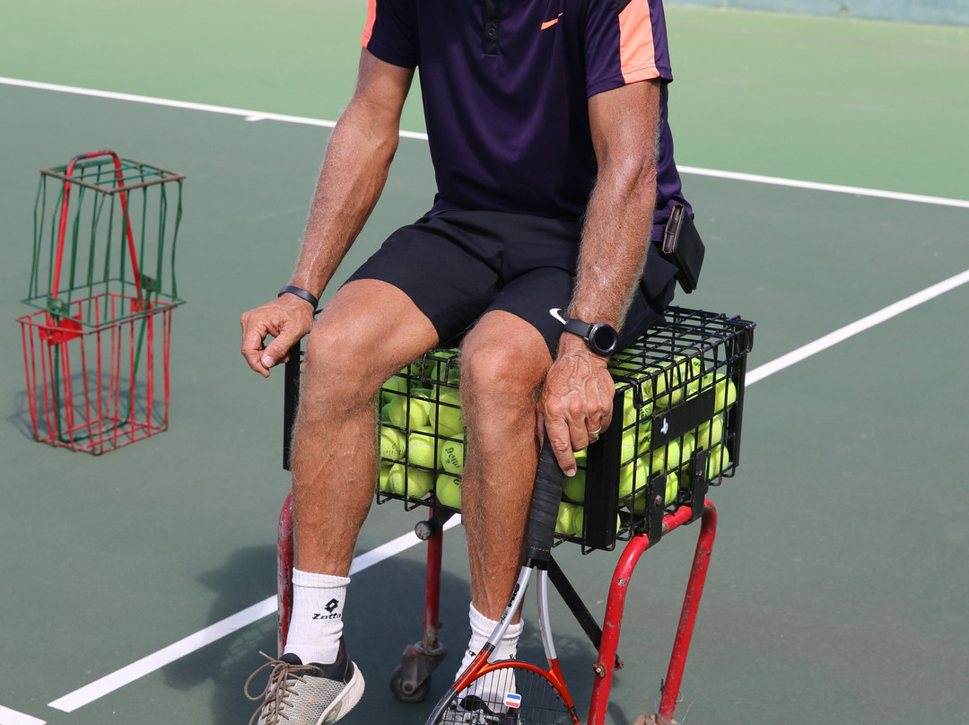 Omnibus Tennis-Noord必去景点