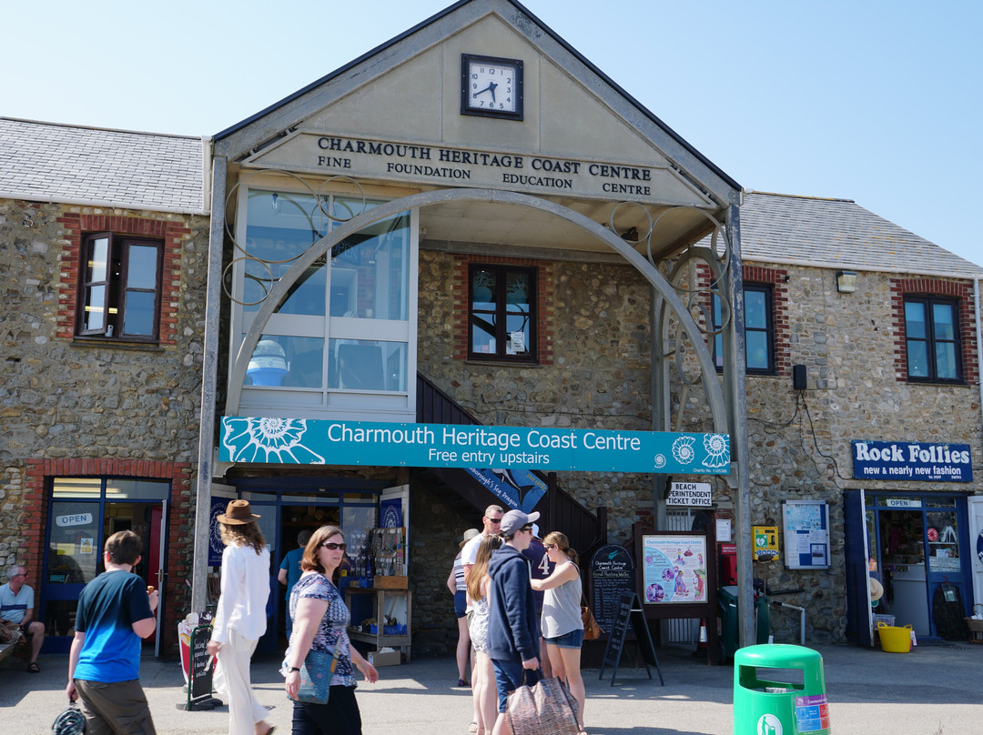 Charmouth Heritage Coast Centre景点图片