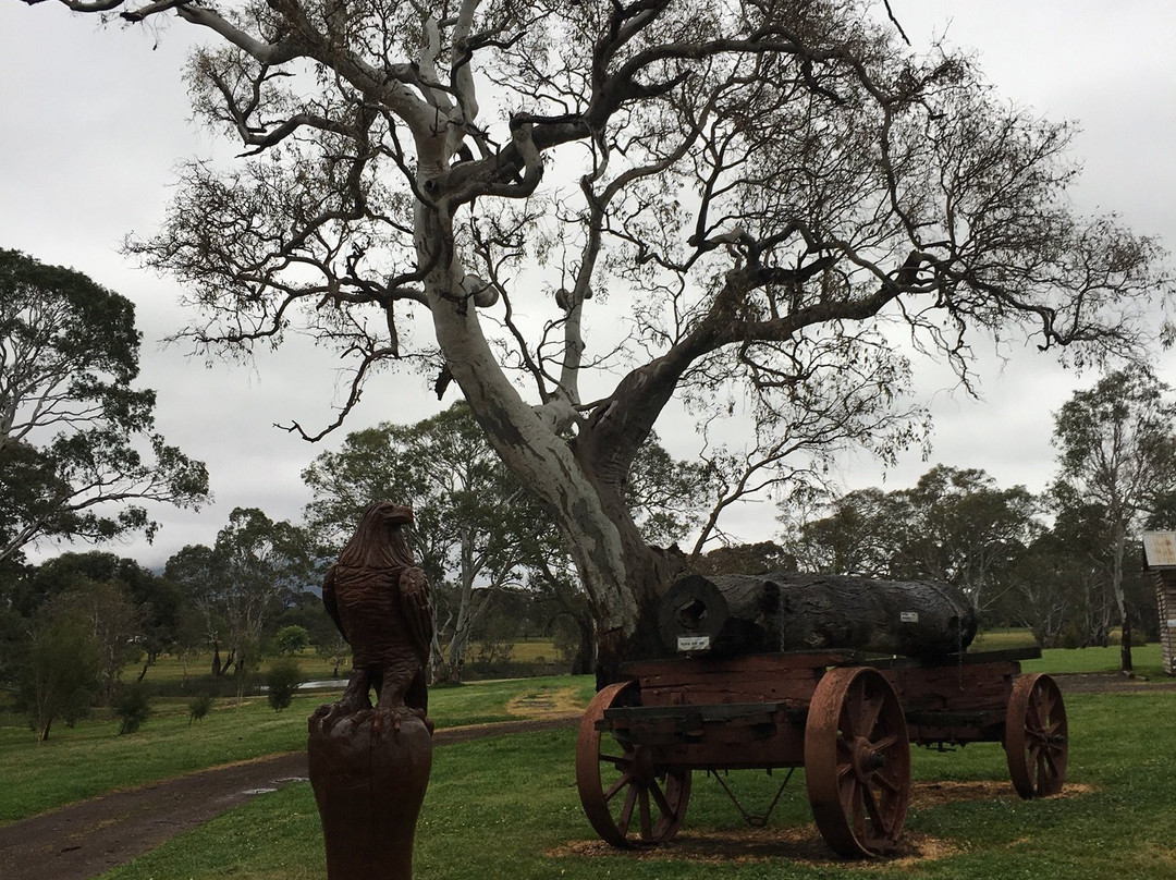 Dunkeld Arboretum-Dunkeld必去景点