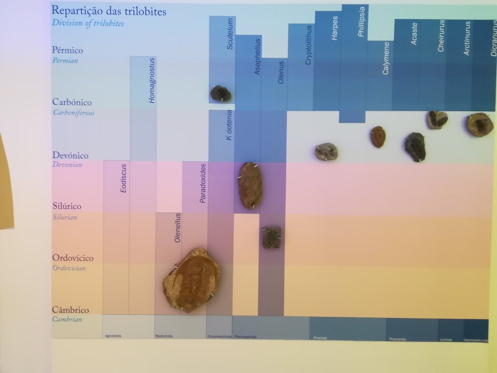 Museu de História Natural景点图片