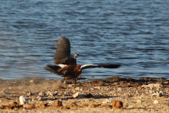 Marek Adventures-温德和克必去景点