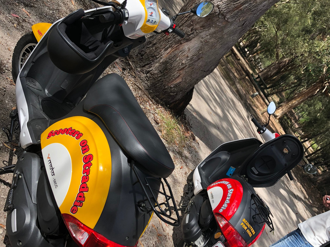 Scooters on Straddie景点图片