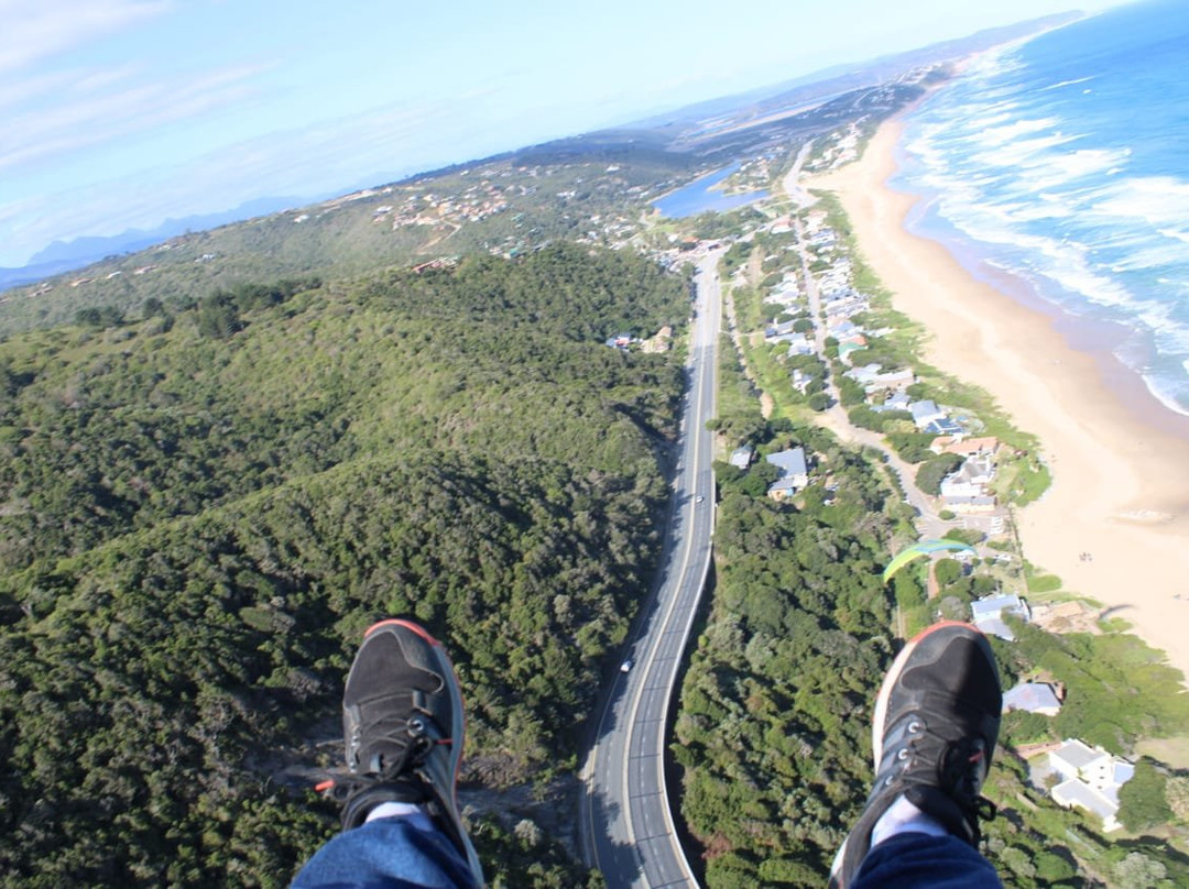 Dolphin Paragliding景点图片