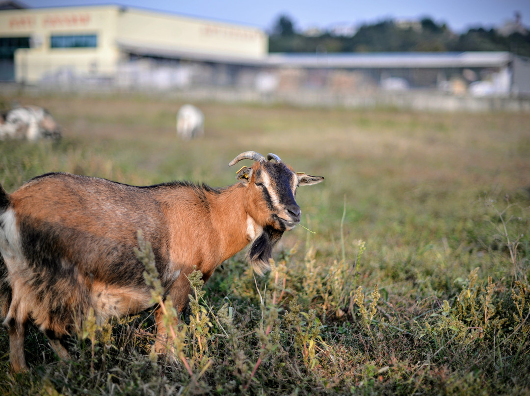 Asintrekking-阿斯蒂必去景点