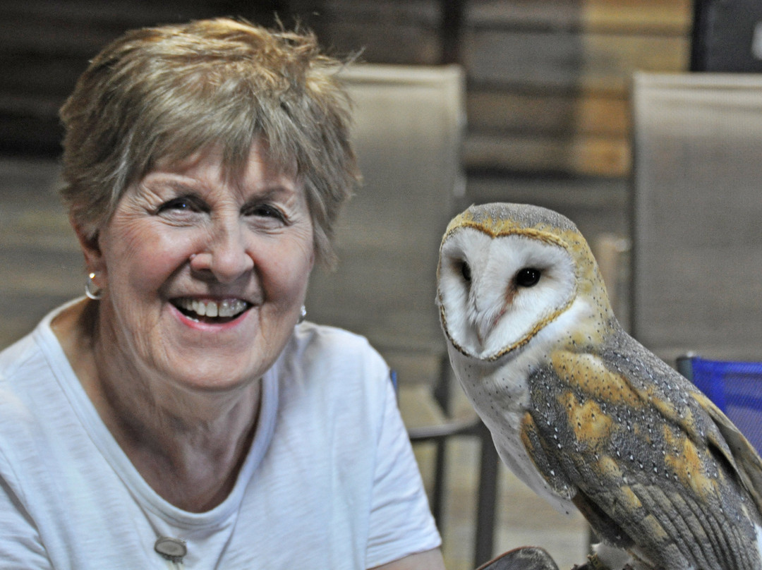 Hawk Manor Falconry-Lillington必去景点