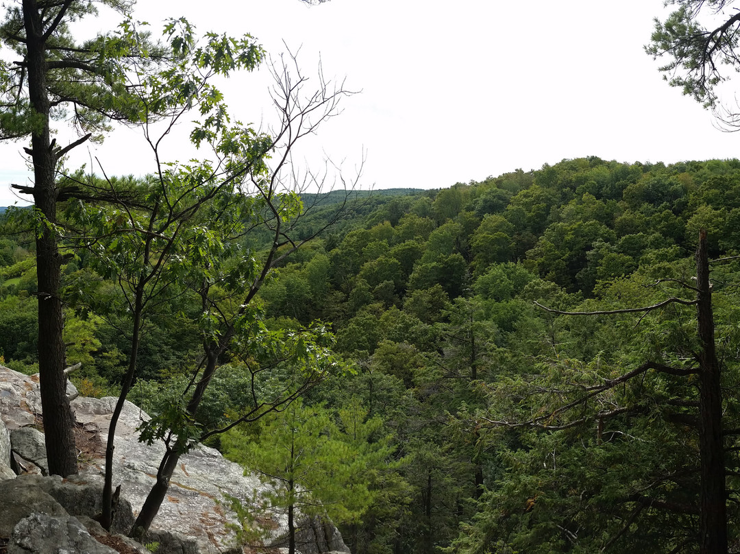 Chapel Brook-Ashfield必去景点