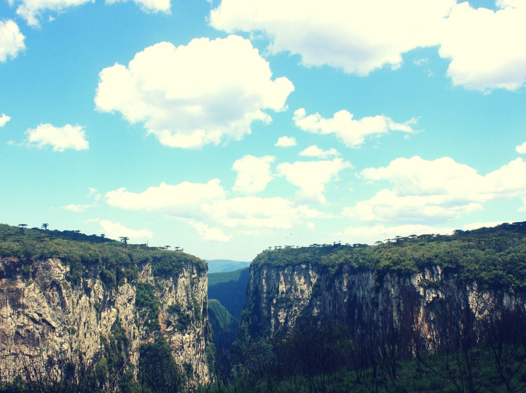 Vizinhos dos Canyons-Mampituba必去景点