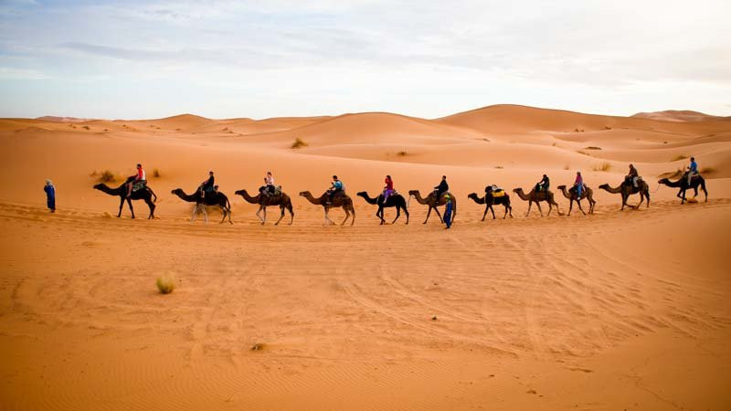 Sahara Bereber Tours景点图片