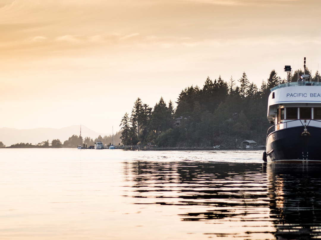 Pacific Coastal Cruises & Tours-温哥华必去景点