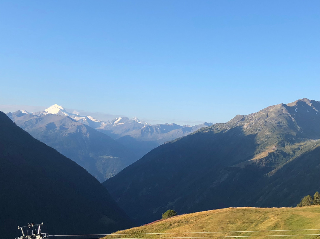 Wiler酒店住宿-Alpenhotel zur Wildi