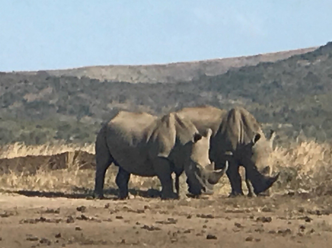 Aloe View Rock Lodge主图