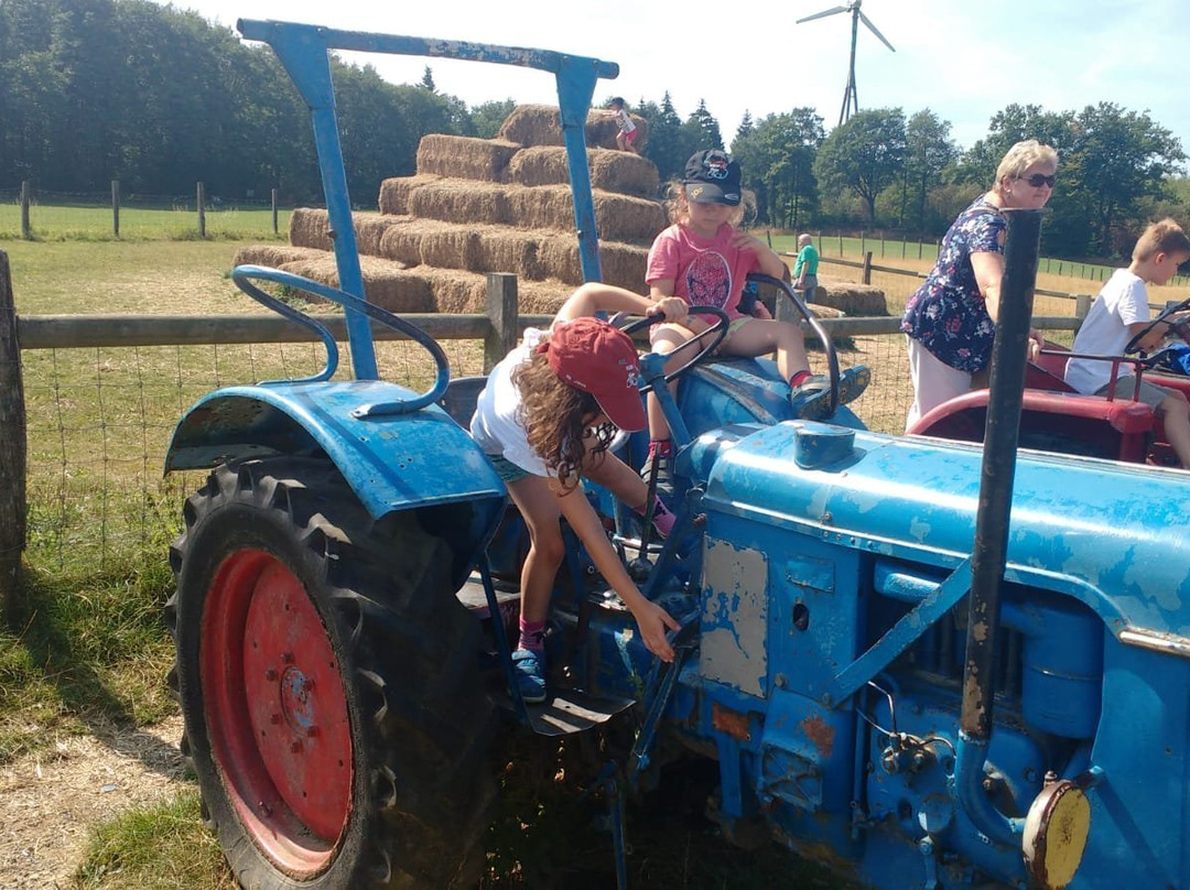 Bergerhof-哈廷根必去景点