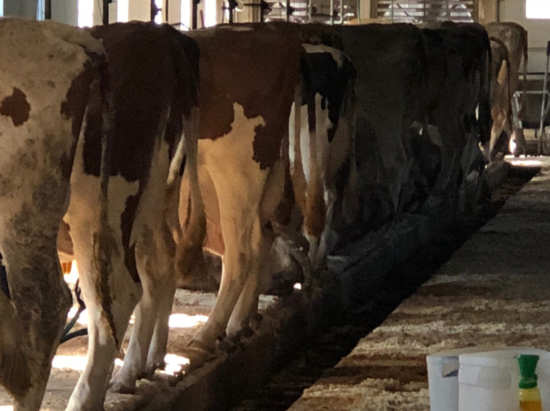 Hornstra Farms-Norwell必去景点