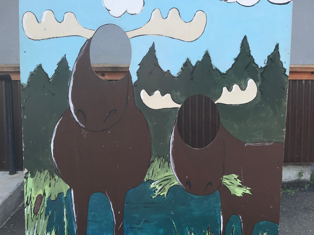 Visit Cook County-大马雷必去景点