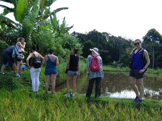 Lombok Rinjani Trekking-Senggigi必去景点