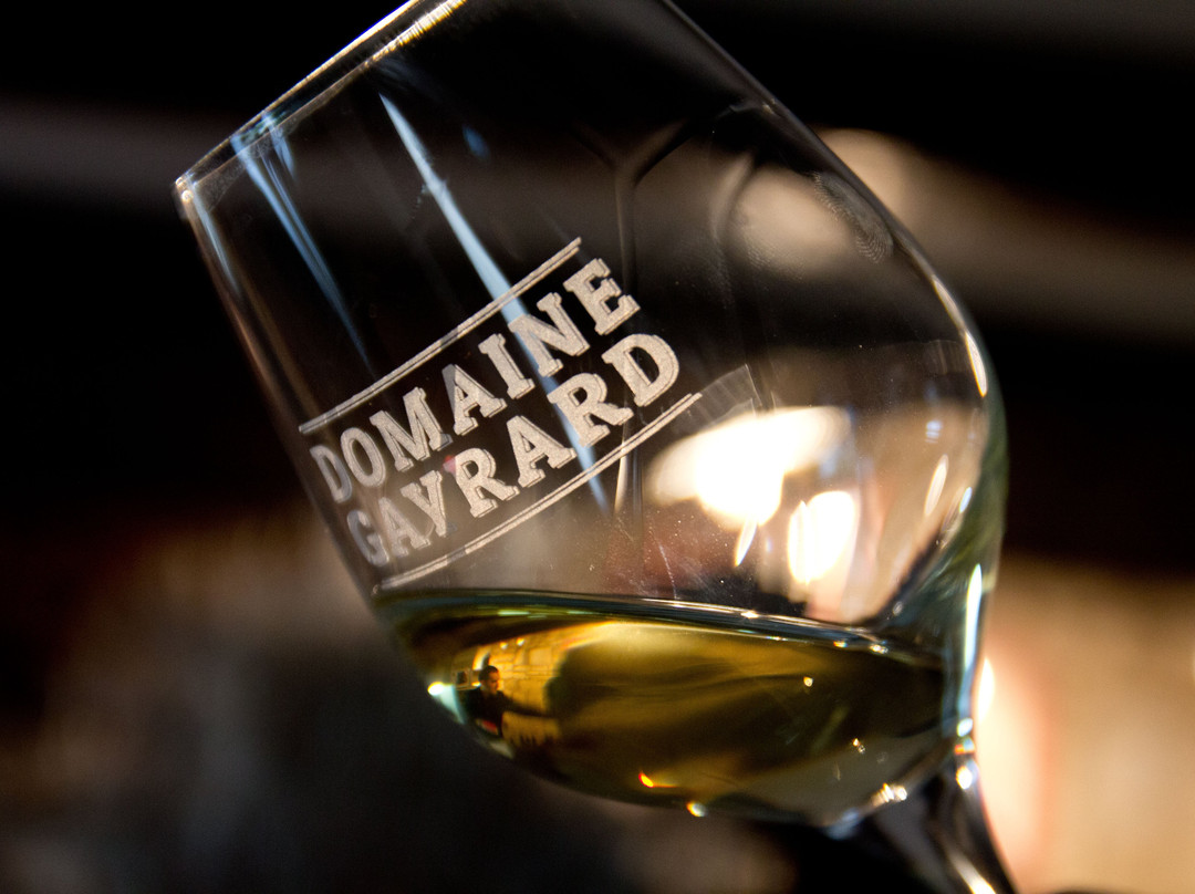 Domaine de Gayrard景点图片