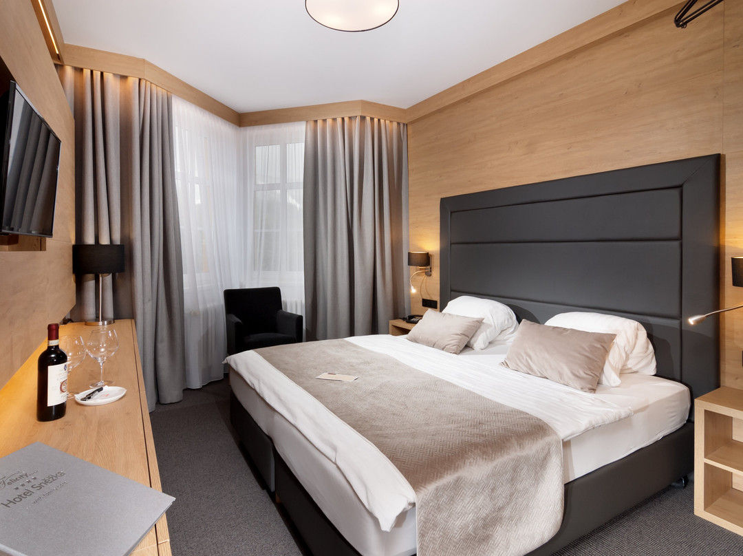 Hotel Snezka主图