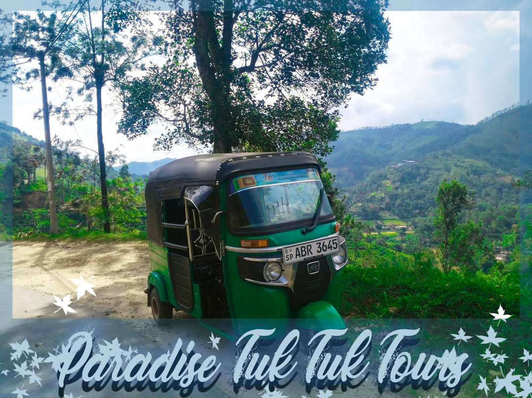 Paradise Tuk Tuk Tours-唐卡拉必去景点