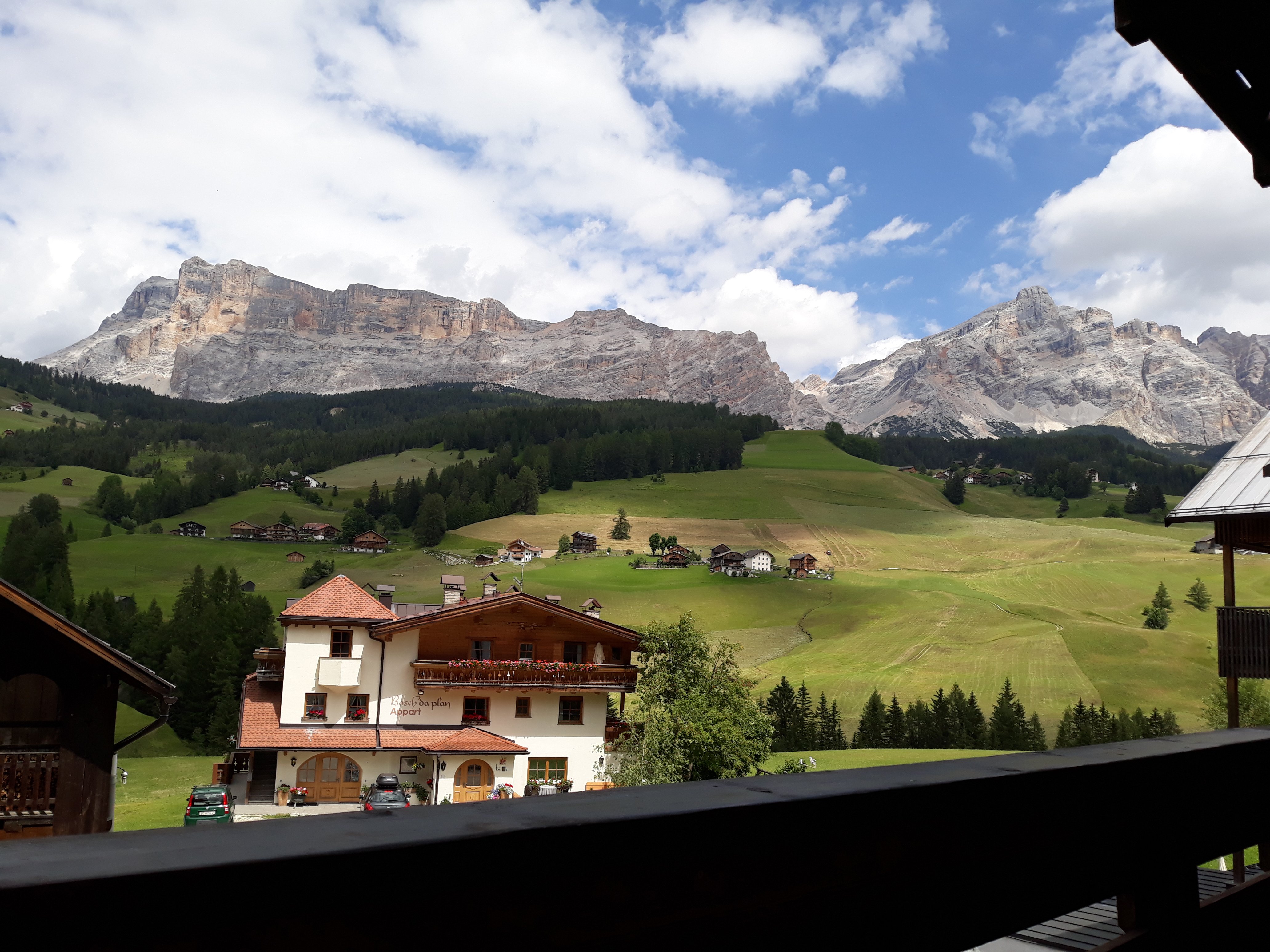 Hotel Des Alpes-酒店景观